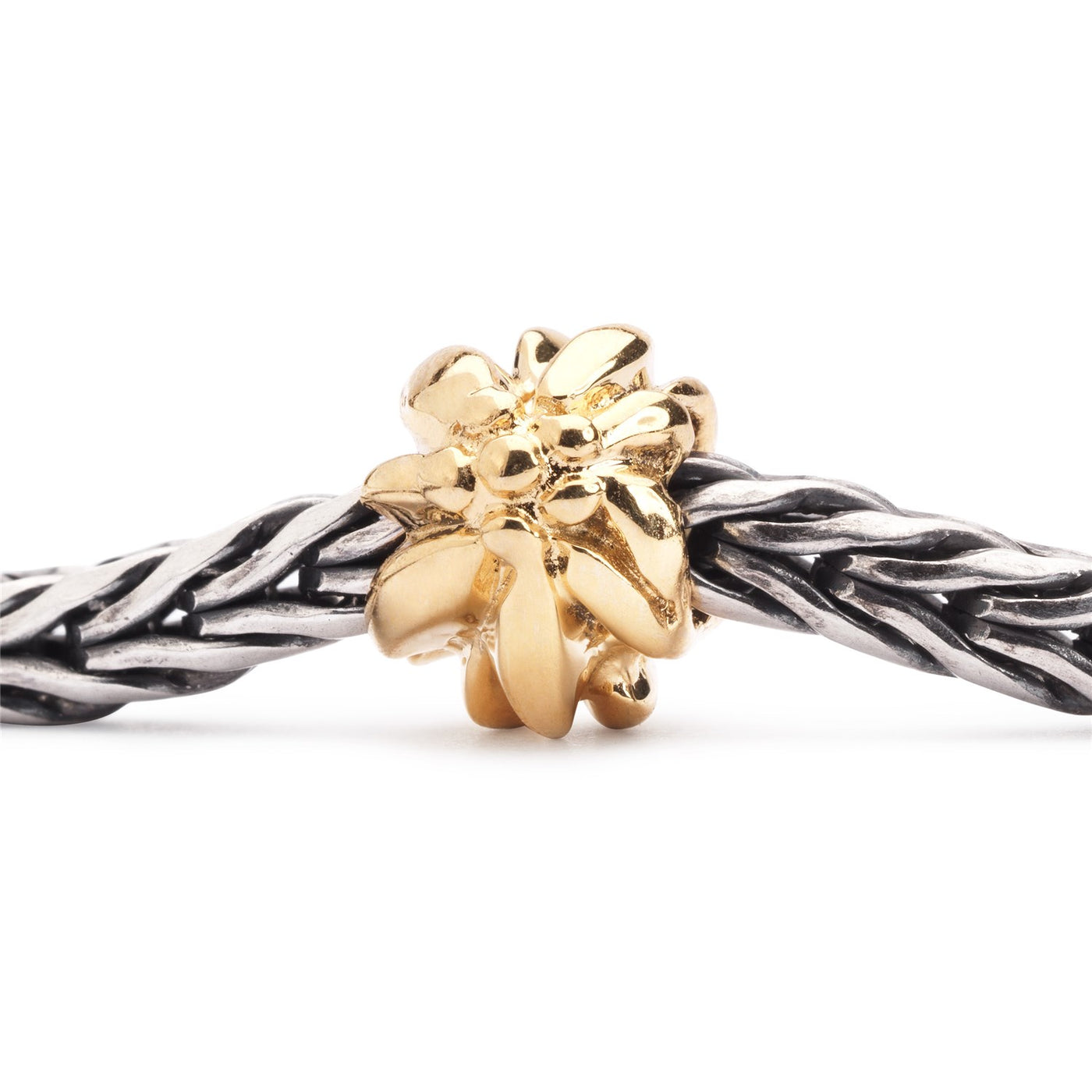 Gebirgsblume, Gold